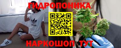 a pvp Кимры