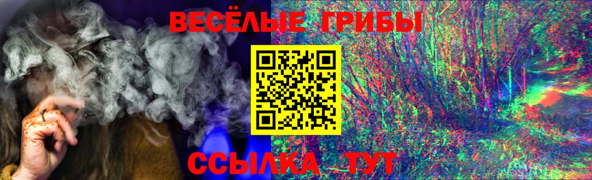 Галлюциногенные грибы GOLDEN TEACHER  Вход с VPN  Клинцы 
